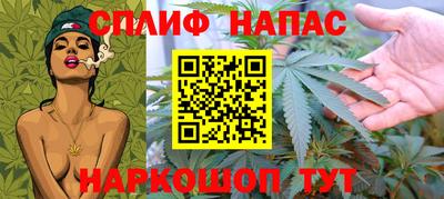 спайс Гай